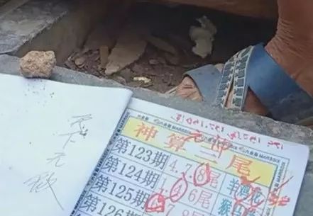 香港中特期期準資料，深度解析與探索，香港中特期期準資料深度解析與探索報告