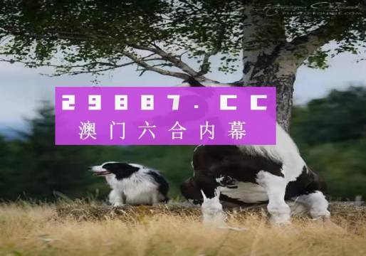 澳門天天空彩官網資料，探索彩票世界的門戶，澳門天天空彩官網資料，彩票世界探索門戶
