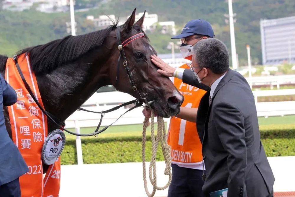 探索香港馬官網，一站式體驗7777788888的精彩世界，探索香港馬官網，一站式體驗精彩世界，7777788888的魅力之旅
