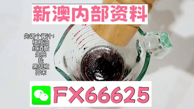 2025年新澳正版免費料，全面解析與獨家資訊，獨家解析，揭秘新澳正版免費料獨家資訊至2025年
