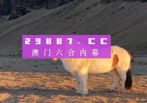 澳門天天彩資料正版免費特色快8，探索彩票世界的魅力與機遇，澳門天天彩正版特色快8，彩票世界的魅力與機遇探索