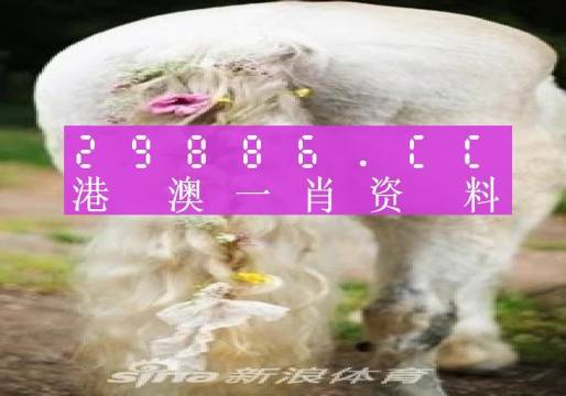 澳門羊了個羊與各大圖庫的資料揭秘，2023年澳門今晚必中一肖一碼永久免費資料庫大解密，澳門羊了個羊與資料庫揭秘，2023年必中一肖一碼永久免費資料大解密