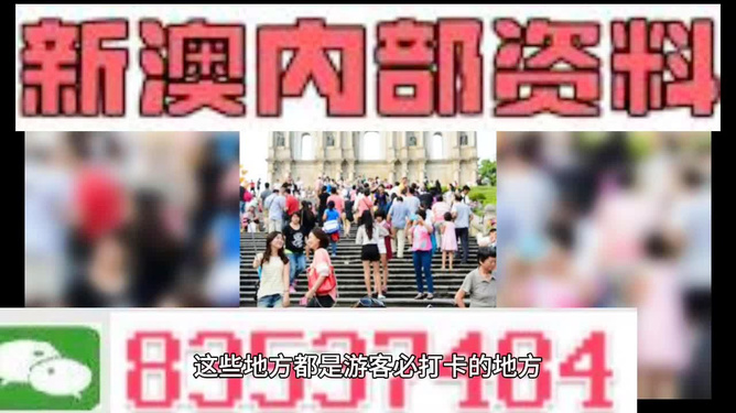 新澳天天開(kāi)獎(jiǎng)資料大全旅游團(tuán)——探索澳門(mén)的魅力之旅，澳門(mén)魅力探索之旅，新澳天天開(kāi)獎(jiǎng)資料大全旅游團(tuán)