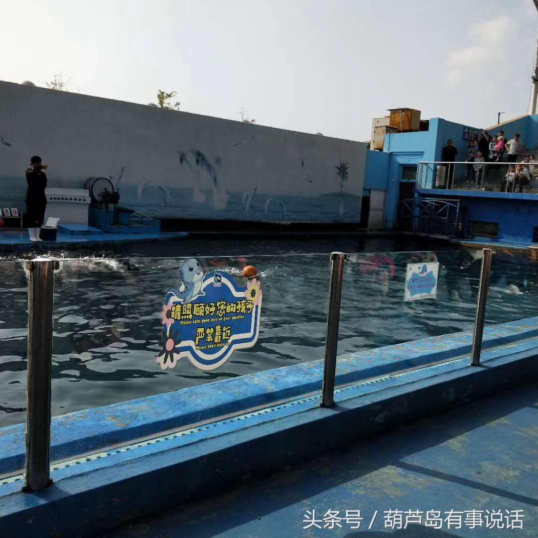 揭秘9點30分彩新澳，全方位解讀彩票新玩法，揭秘9點30分彩新澳，全方位解讀彩票新玩法攻略
