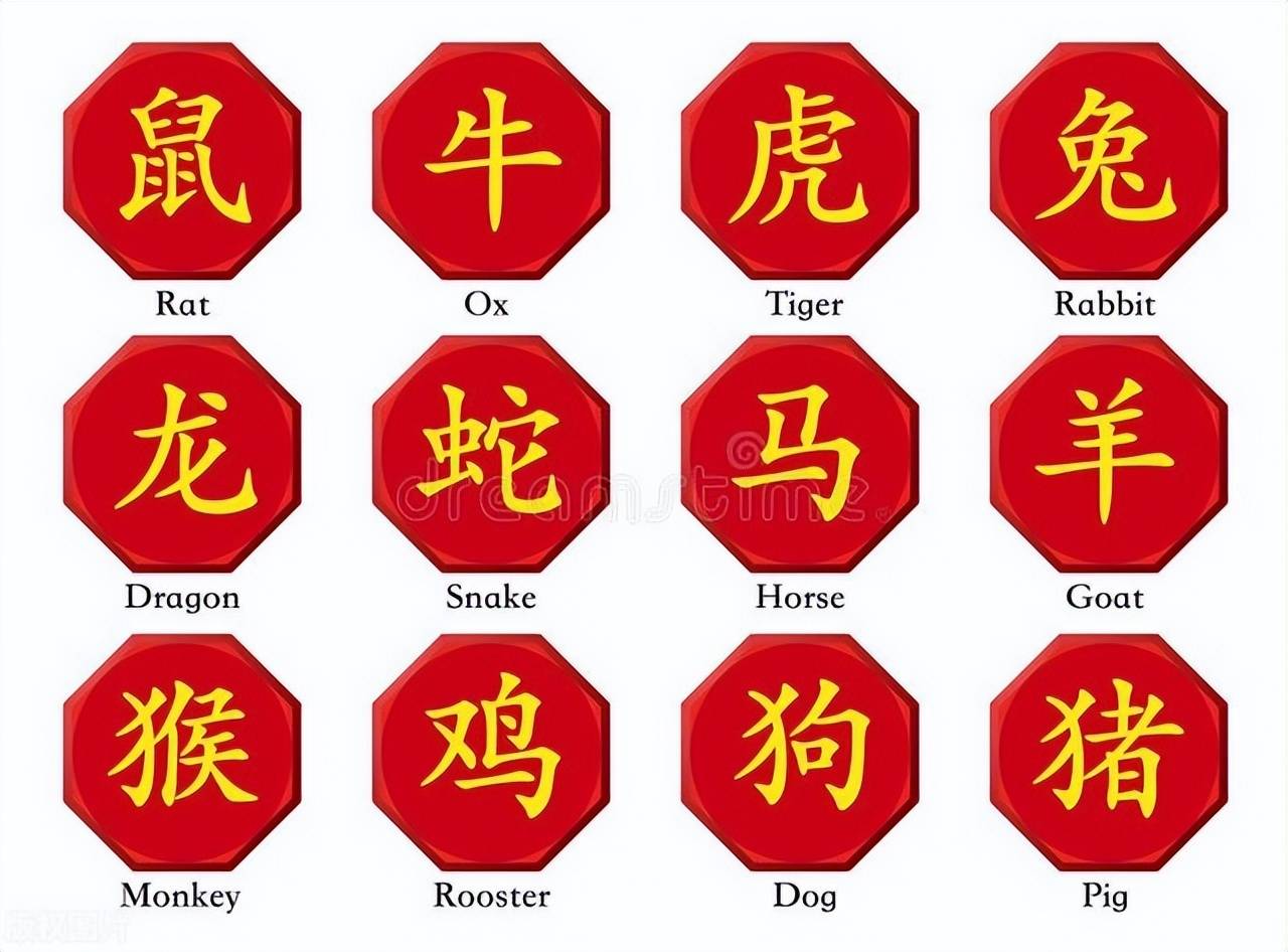新澳特碼，羊牛虎各數10——揭秘背后的數字奧秘，揭秘新澳特碼數字奧秘，羊牛虎各數背后的秘密