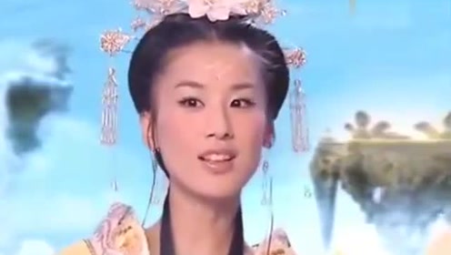 曾道道人資料免費大全，深度探索與解析，曾道道人資料深度解析與免費大全探索