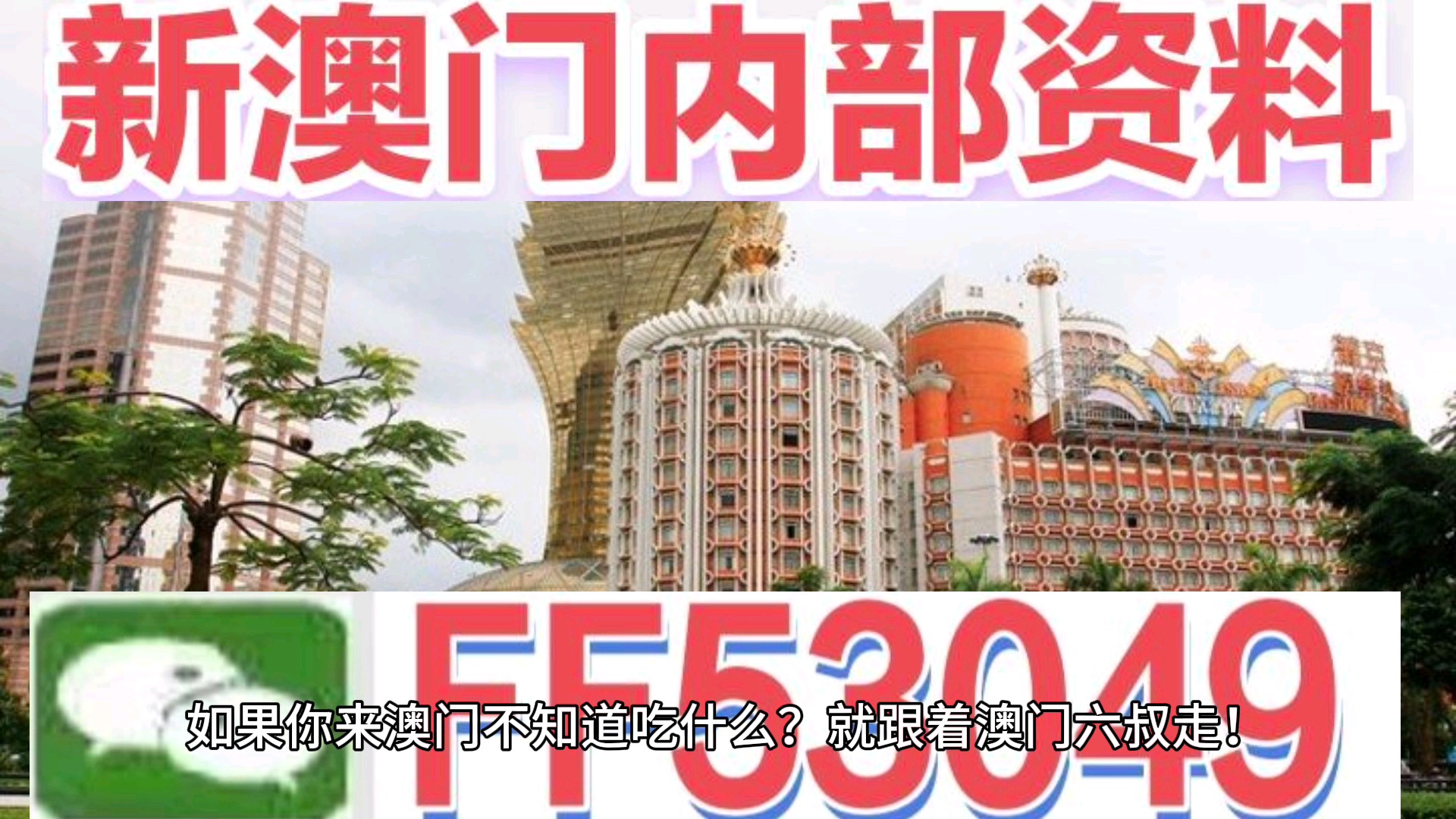 澳門今晚特馬生肖預測，探尋未來的幸運符號（2025年），澳門生肖預測揭秘，探尋未來幸運符號（特馬生肖預測 2025年展望）