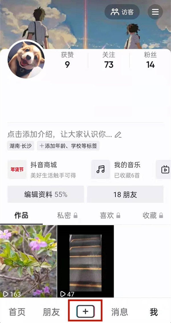白小姐的精準免費四肖，揭秘背后的秘密，揭秘白小姐精準免費四肖背后的秘密