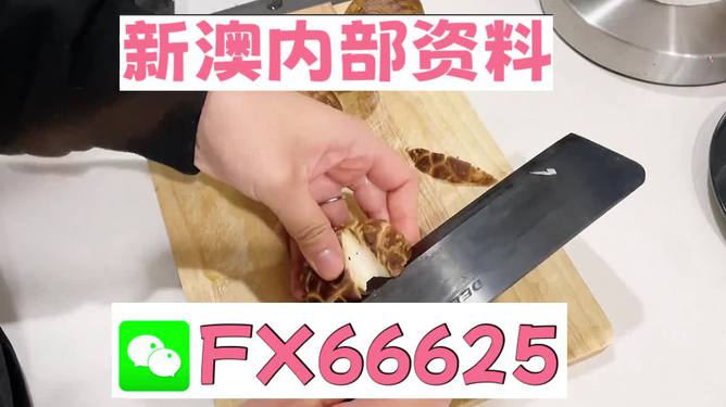 澳門九點半9點半網站——探索其魅力與優勢，澳門九點半網站，魅力與優勢探索