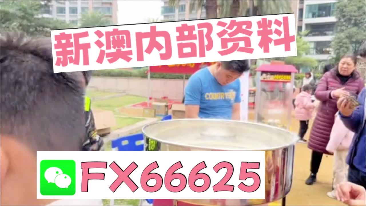 新澳2025芳草地資料大全，深度解析與前瞻性展望，新澳2025芳草地，資料深度解析與前瞻性展望