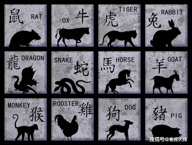 新澳特碼，羊牛虎各數10的獨特魅力與解析，新澳特碼，羊牛虎各數10的獨特魅力深度解析