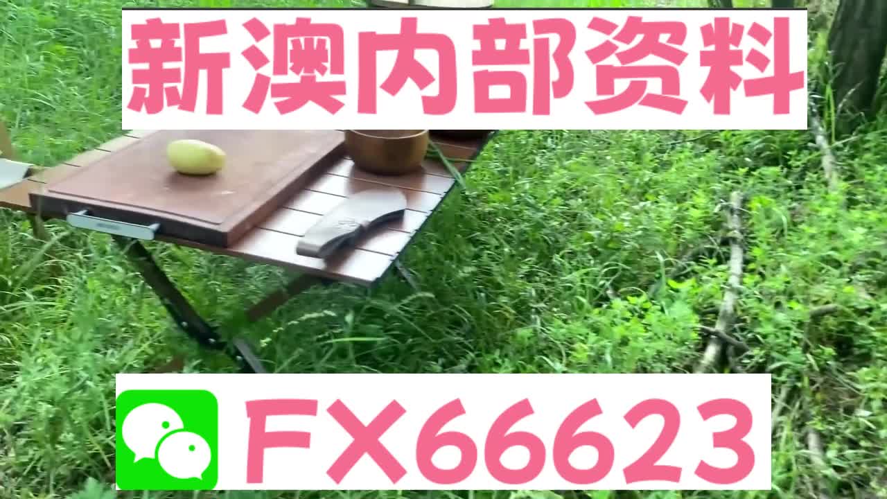 新奧特碼走勢圖解析與預測，新奧特碼走勢圖解析與預測，未來趨勢探討