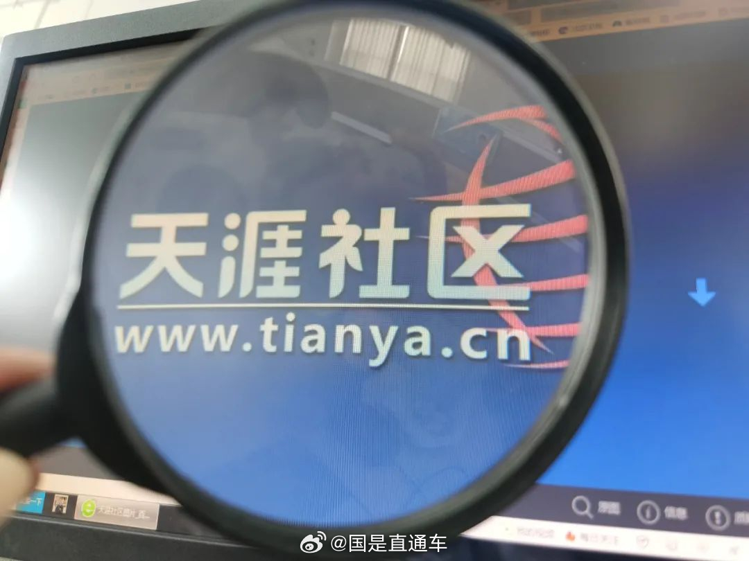 天涯國際觀察，全球視野下的深度分析與洞察，全球深度洞察，天涯國際觀察分析