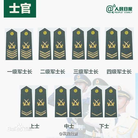 全球各國軍士長軍銜對照表及其重要性，全球各國軍士長軍銜對照表，揭示其重要性