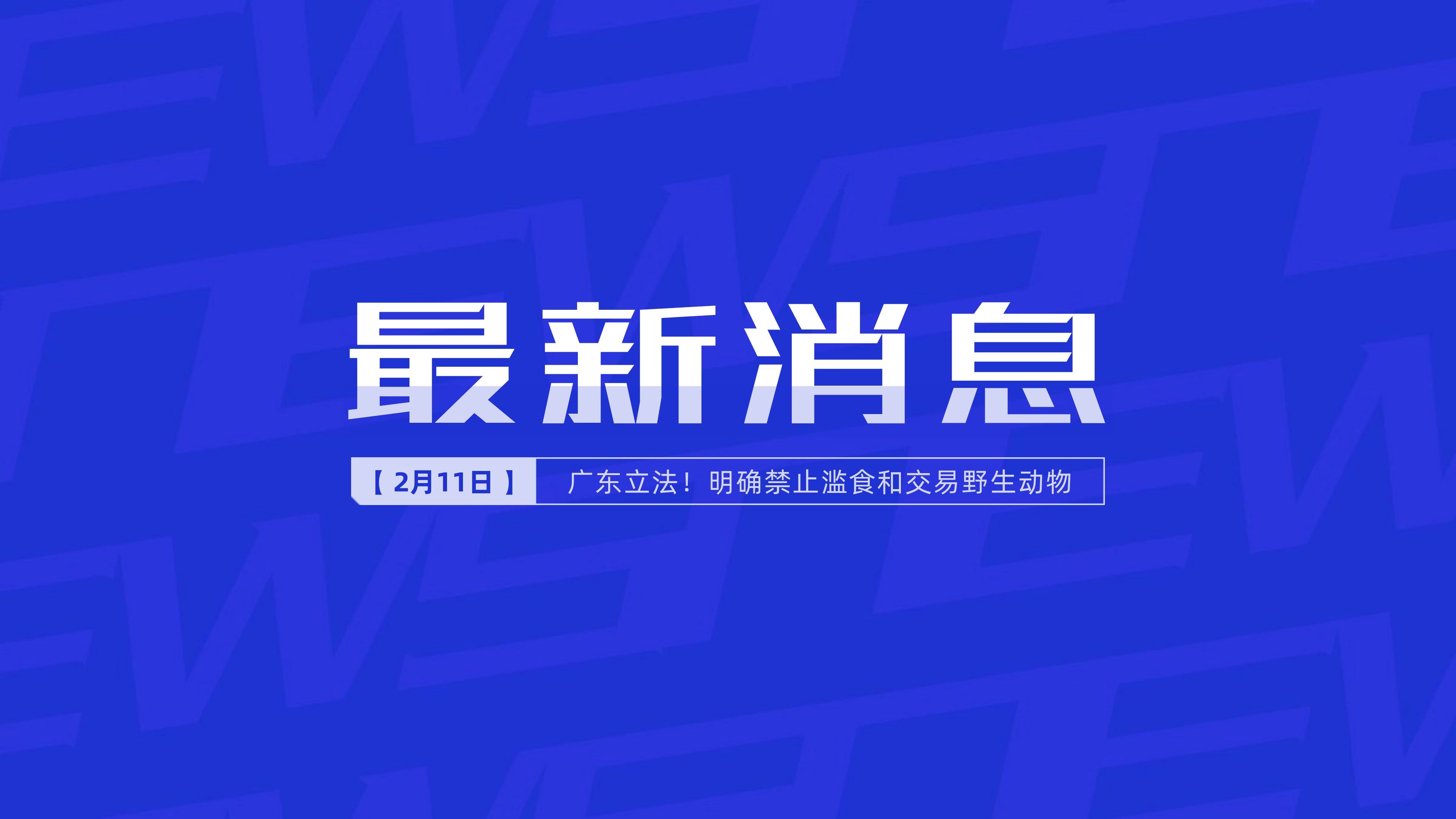 新聞最新新聞，掌握時事熱點，洞悉世界動態，時事熱點速遞，掌握全球最新動態新聞