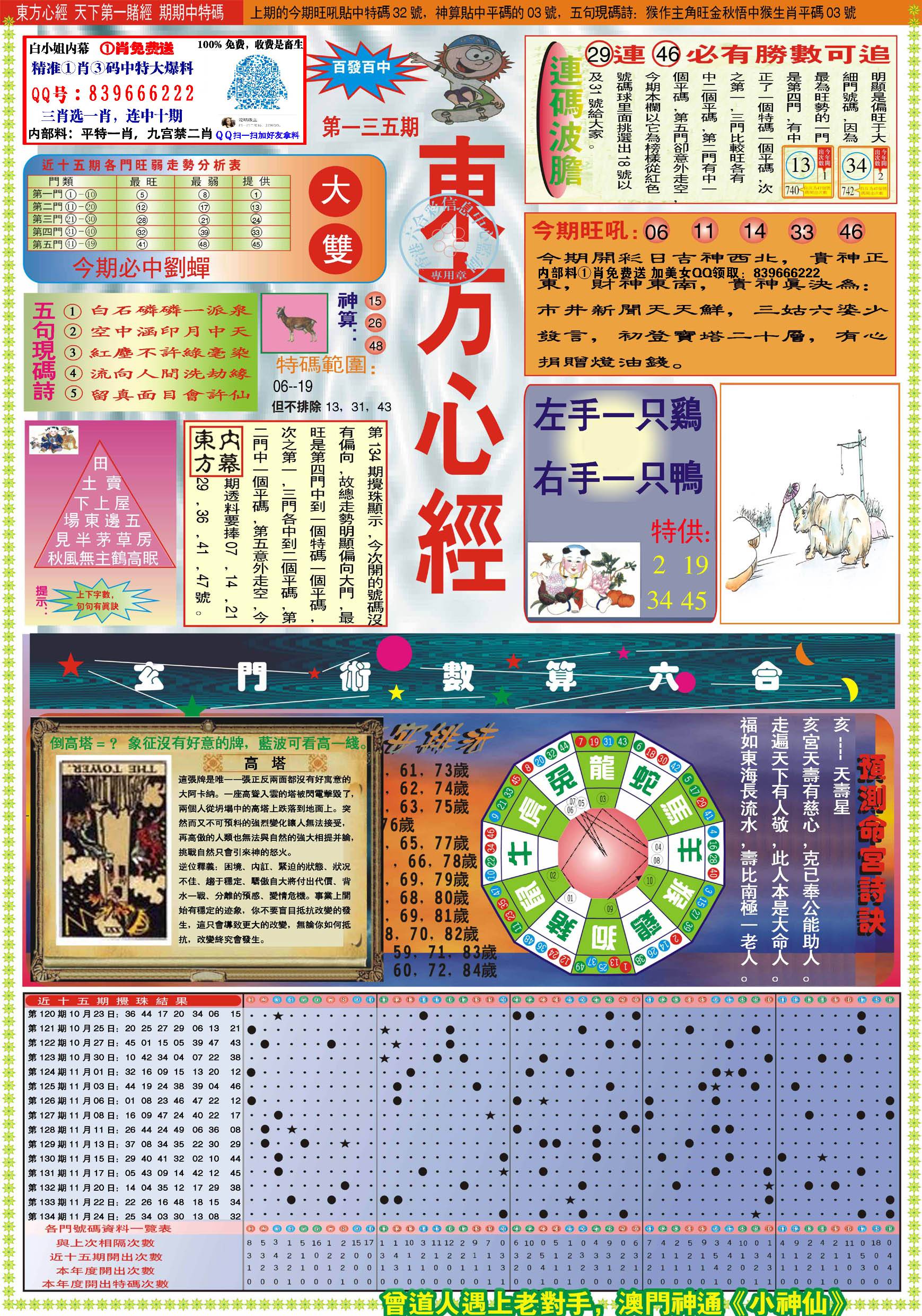 香港最精準的特馬資料，探索與解析，香港特馬資料探索與精準解析