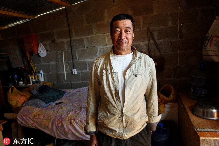 博科圣地組織，深度解析與理解，博科圣地組織深度解析與探究