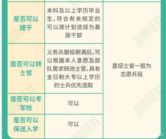 士官直招與義務(wù)兵的區(qū)別，深入了解軍隊招募制度，直招士官與義務(wù)兵招募制度深度解析，軍隊招募制度詳解