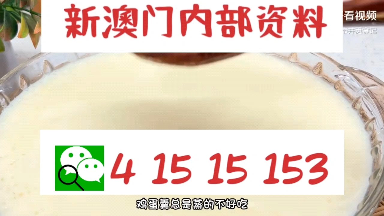新澳門中特網中特馬，探索與解析，澳門中特馬探索與解析指南