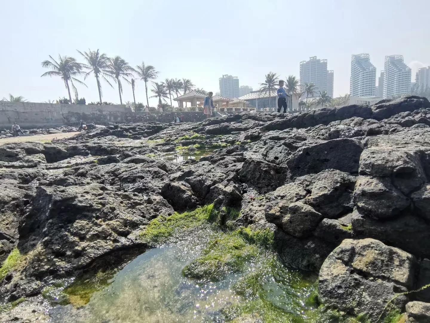 解放海南島電視劇全集下載，探尋30集完整劇情，解放海南島電視劇全集下載，探尋完整的30集劇情探索
