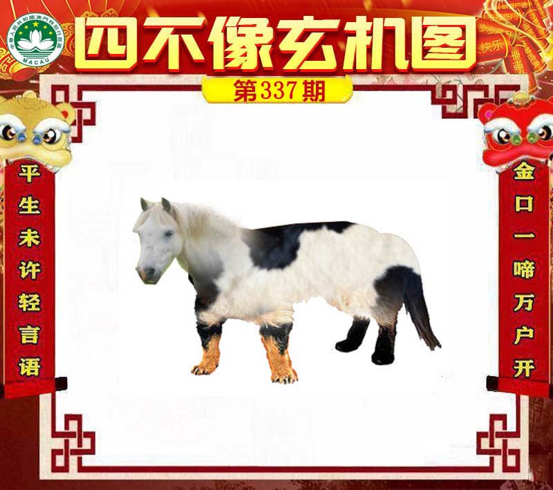 王中王四不像肖一肖中特，探索神秘現(xiàn)象背后的真相，神秘現(xiàn)象背后的真相探索，王中王四不像肖一肖中特揭秘