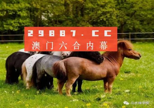 王中王四不像正版一肖中特圖，揭秘背后的秘密與獨特魅力，揭秘王中王四不像正版一肖中特圖的獨特魅力和背后秘密