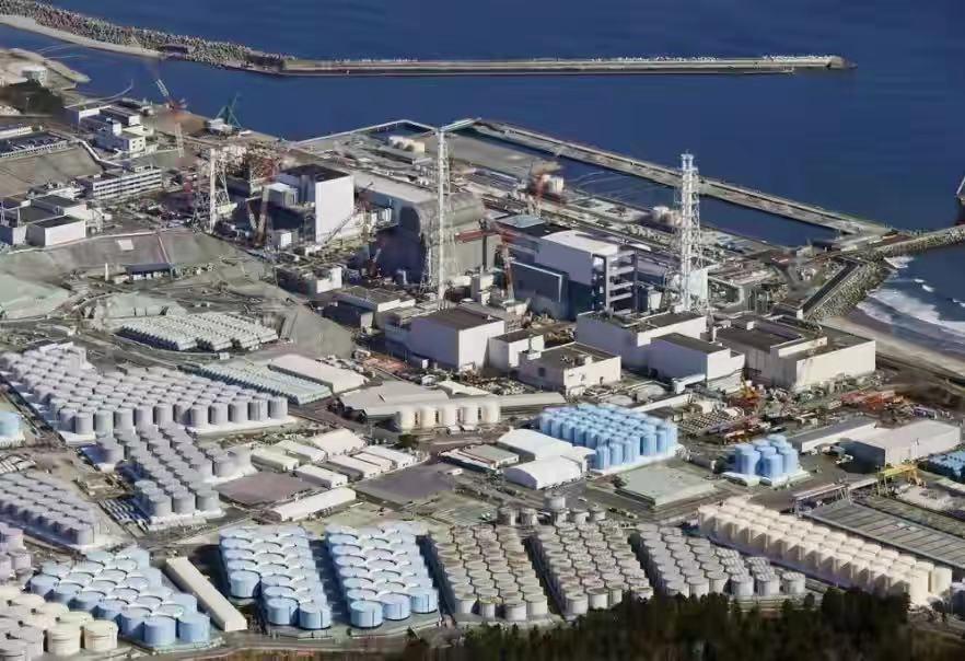 澳門今晚必開一肖81期，探索生肖運勢與預測的秘密，澳門生肖運勢揭秘，探索生肖預測與81期必開一肖的神秘面紗