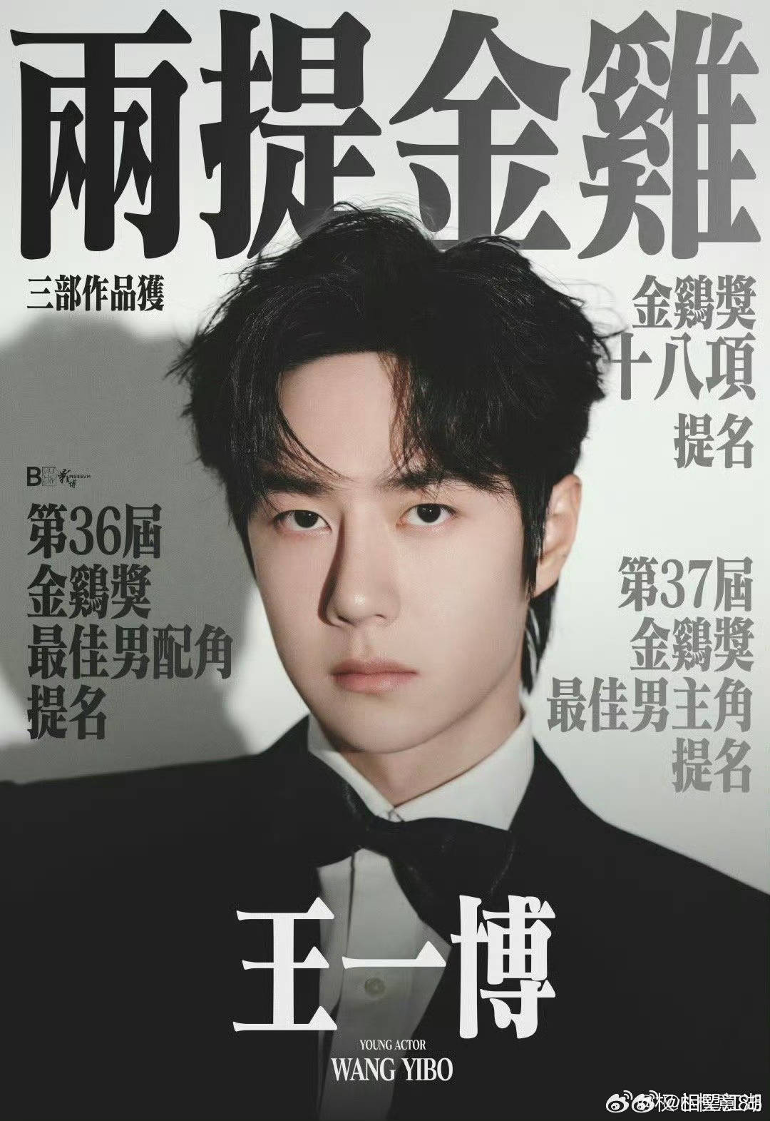 王中王一肖中特論特，深度解析與SEO洞察，深度解析王中王一肖中特論特與SEO洞察