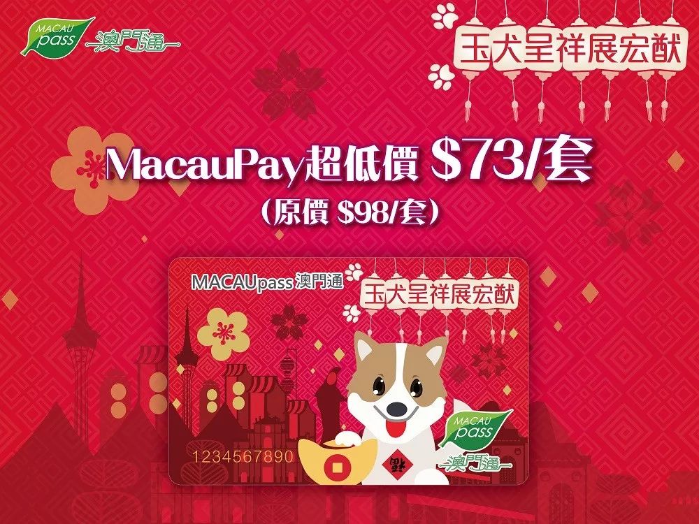 澳門生肖卡，探索未來的趨勢與機遇（2025年展望），澳門生肖卡，未來趨勢與機遇展望（2025年）