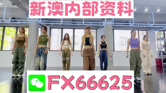 新澳一肖，探索與解析，新澳一肖，深度探索與解析