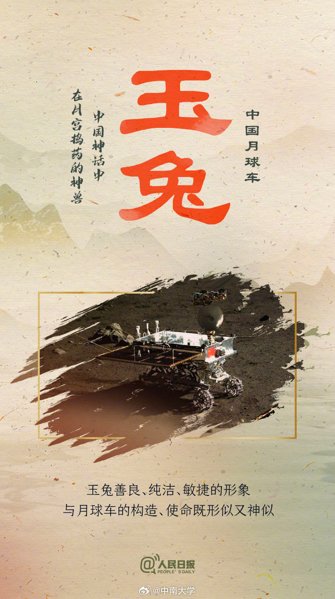 揭秘王中王平特一肖免會(huì)公開的奧秘，王中王平特一肖免公開揭秘奧秘