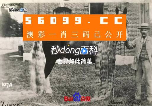 澳門王中王心水王中王，探索與解析，澳門王中王心水奧秘，深度探索與解析