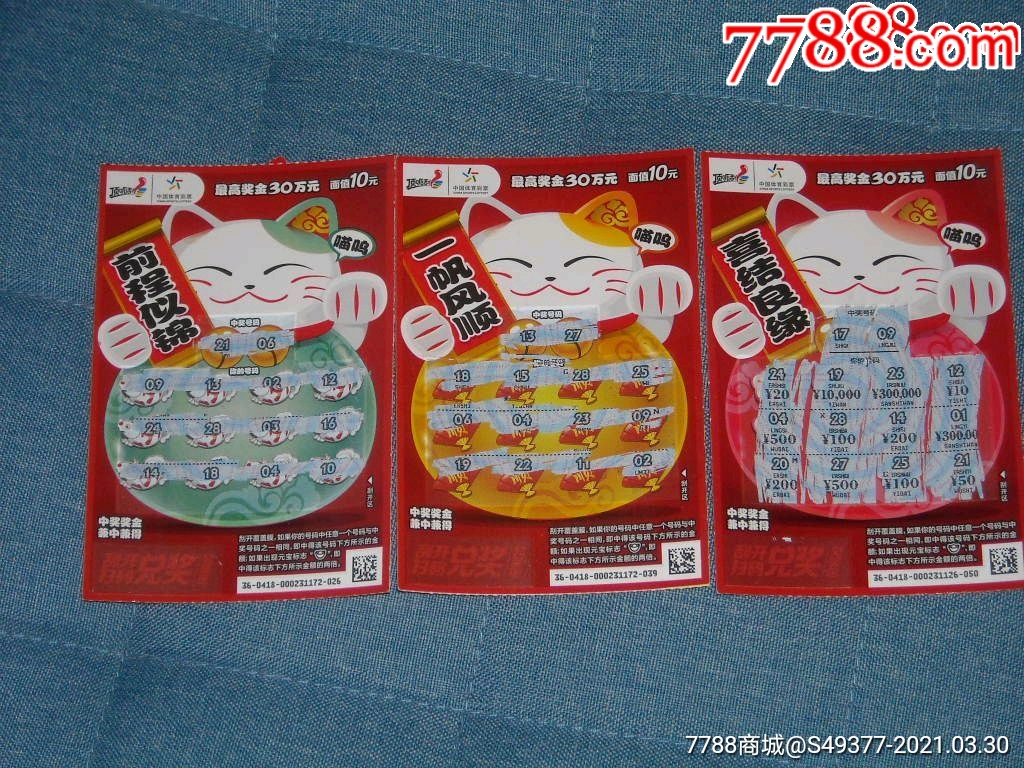 揭秘王中王資料一肖中特y招財貓，真相與秘密，揭秘王中王資料與招財貓，真相與秘密探索