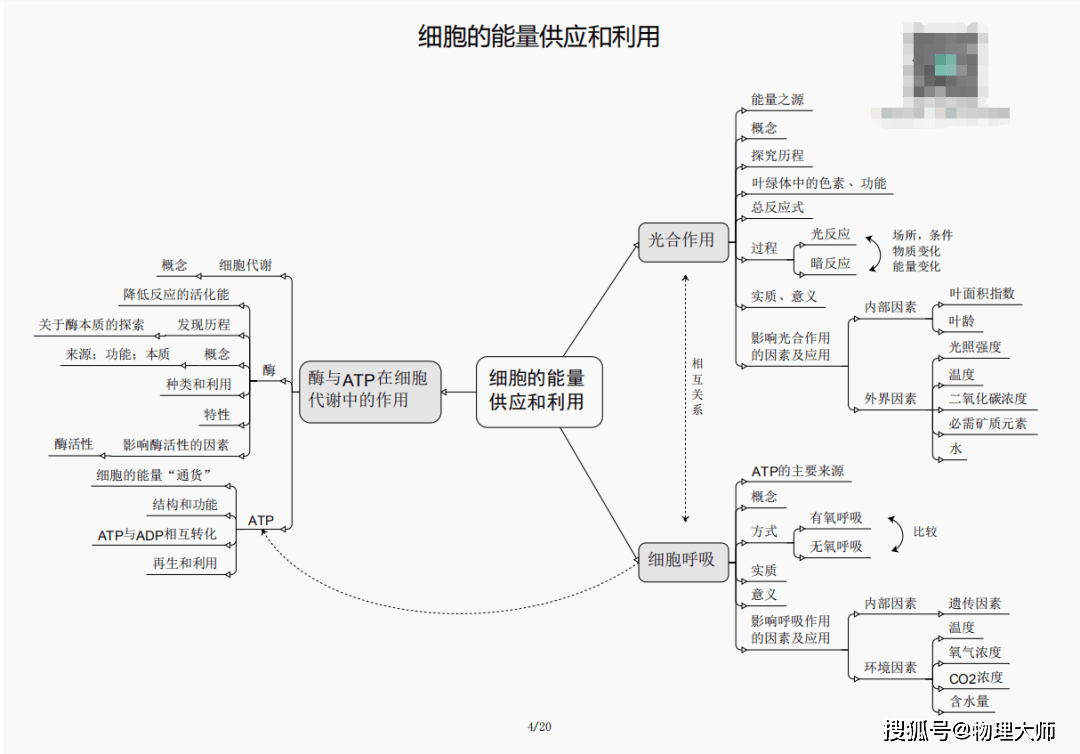 揭秘劉伯溫四肖三期內必出一，神秘預言背后的真相，劉伯溫四肖三期預言真相揭秘，神秘預言背后的必然與偶然