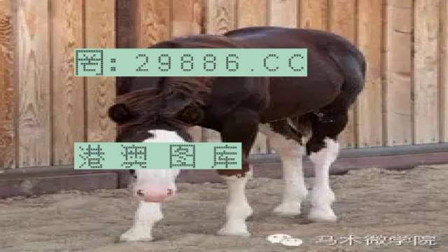 揭秘446999一肖中特馬之秘密，掌握中獎(jiǎng)玄機(jī)！，揭秘特馬中獎(jiǎng)玄機(jī)，446999一肖中的秘密大揭秘！