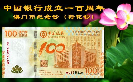 新澳門掛牌正版掛牌完整掛牌，探索與解析，澳門正版掛牌詳解，探索完整流程與解析