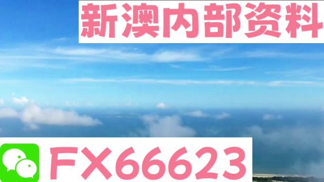新澳內(nèi)部免費(fèi)爆料，深度探索未知的秘密，新澳內(nèi)部揭秘，深度探索未知的秘密