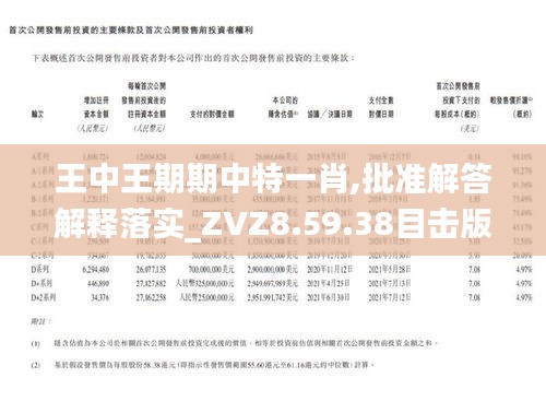 王中王一肖期期中，揭秘背后的秘密與策略，揭秘王中王一肖期期中的秘密策略與成功之道