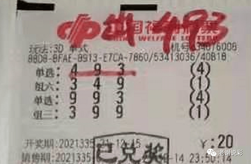 新奧門彩天天開獎資料一網羅萬象，揭秘彩票奧秘，揭秘彩票奧秘，新奧門彩天天開獎資料一網羅萬象
