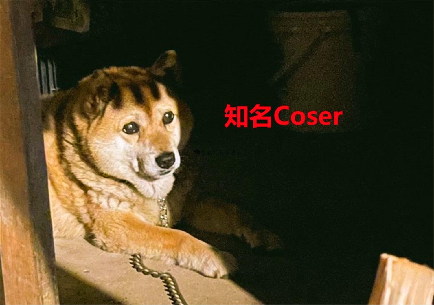 豬狗同行王中王，猜一肖，深度解析與SEO優化，豬狗同行王中王猜謎解析與SEO優化技巧，深度解析揭秘生肖之謎