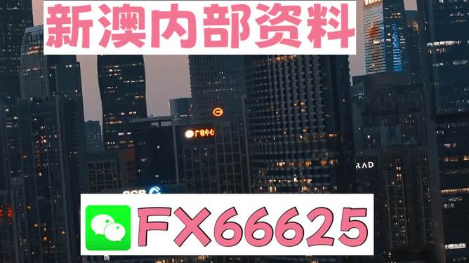 澳門跑狗，探索與解析，澳門跑狗，探索與解析之道