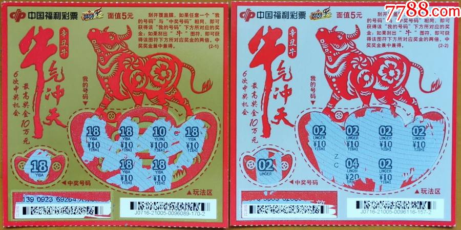 王中王19期指一生肖——探尋背后的奧秘與意義，王中王19期指一生肖，背后的奧秘與意義探尋