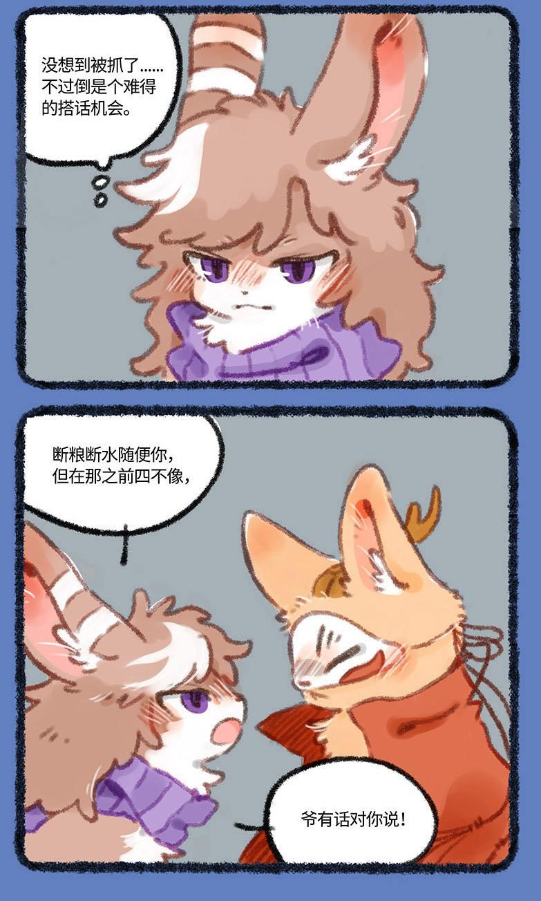 今天正版四不像，深度解析一種獨特的文化現象，深度解析，正版四不像——獨特的文化現象探究