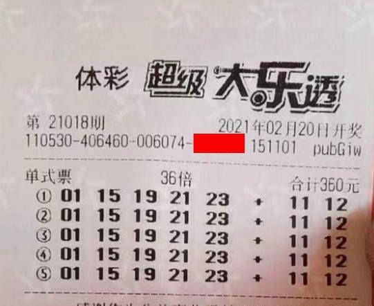 王中王018期指一生肖，揭秘背后的奧秘與意義，揭秘生肖奧秘，王中王生肖背后的意義與秘密