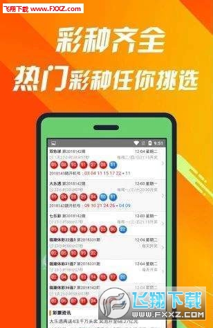 揭秘660678C0m王中王三肖一碼，真相與奧秘，揭秘，王中王三肖一碼真相與奧秘探索