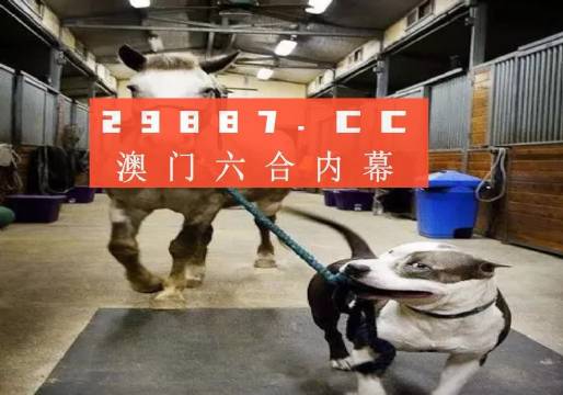 澳門一肖一碼一必中一肖，同舟前進(jìn)的奧秘與策略，澳門一肖一碼必中策略與前進(jìn)奧秘，同舟共濟(jì)的揭秘與策略