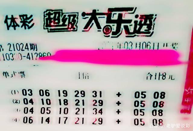 王中王024期指一生肖，深度解讀與SEO優(yōu)化策略，王中王024期生肖深度解讀與SEO優(yōu)化策略全攻略