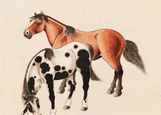 馬一王中王特平一肖圖，深度解析與SEO優(yōu)化策略，深度解析馬一王中王特平肖圖，SEO優(yōu)化策略探討