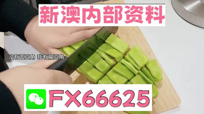 新澳精選資料免費提供，探索優質資源的海洋，新澳精選資料免費探索，優質資源海洋的開啟