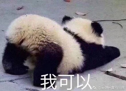 澳門四不像正版四不像網，探索真實與虛幻的交融之地，澳門四不像正版探索，真實與虛幻的交融世界